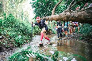 BIB: 
                            <button type="button" onclick="openModal(25516276)" class="btn btn-primary btn-sm float-right btn-popup" data-toggle="modal" data-target=".modal-high-quality">
                        <i class="fas fa-shopping-cart"></i> Add to Cart
                    </button>
                                            <button type="button" onclick="isThisMe(25516276, true)" class="btn btn-success btn-sm float-right btn-popup btn-isme hidden" data-toggle="tooltip" data-placement="bottom" title="นี่คือรูปของคุณใช่ไหม คลิกที่นี่เพื่อเอาเข้าอัลบั้ม">
                        <i class="fas fa-plus"></i> Add to album
                    </button>
                    <button type="button" onclick="isThisMe(25516276, false)" class="btn btn-warning btn-sm float-right btn-popup btn-isnotme hidden">
                        <i class="fas fa-ban"></i> Remove from album
                    </button>